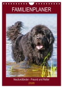 Cover-Bild zum Titel 'Familienplaner Neufundländer - Freund und Retter (Wandkalender 2026 DIN A4 hoch), CALVENDO Monatskalender' von 'Sigrid Starick'