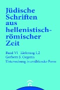 Cover-Bild zum Titel 'Unterweisung in erzählender Form' von 'Gerbern S. Oegema'