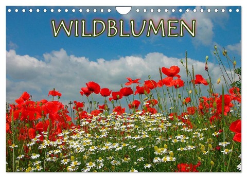 Wildblumen 2024 (Wandkalender 2024 DIN A4 quer), CALVENDO Monatskalender - Bildagentur Geduldig