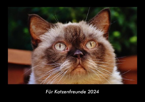 Für Katzenfreunde 2024 Fotokalender DIN A3 - Tobias Becker
