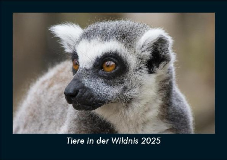 Tiere in der Wildnis 2025 Fotokalender DIN A5 - Tobias Becker