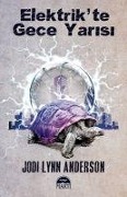 Cover-Bild zum Titel 'Elektrikte Gece Yarisi' von 'Jodi Lynn Anderson'
