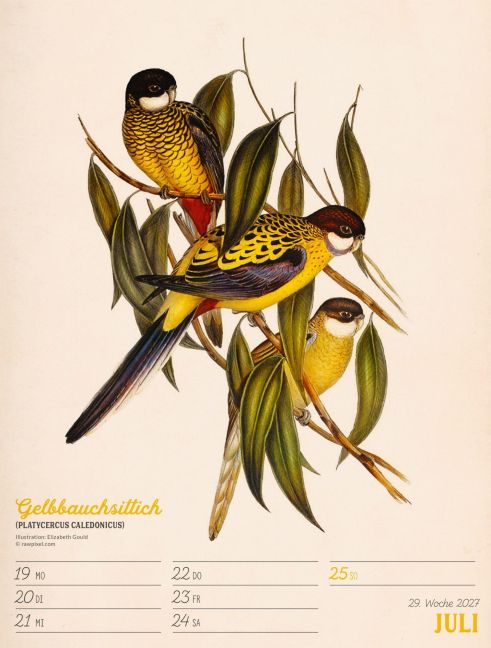InsideView 33