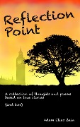 Cover-Bild zum Titel 'Reflection Point' von 'Adam Elias Zain'