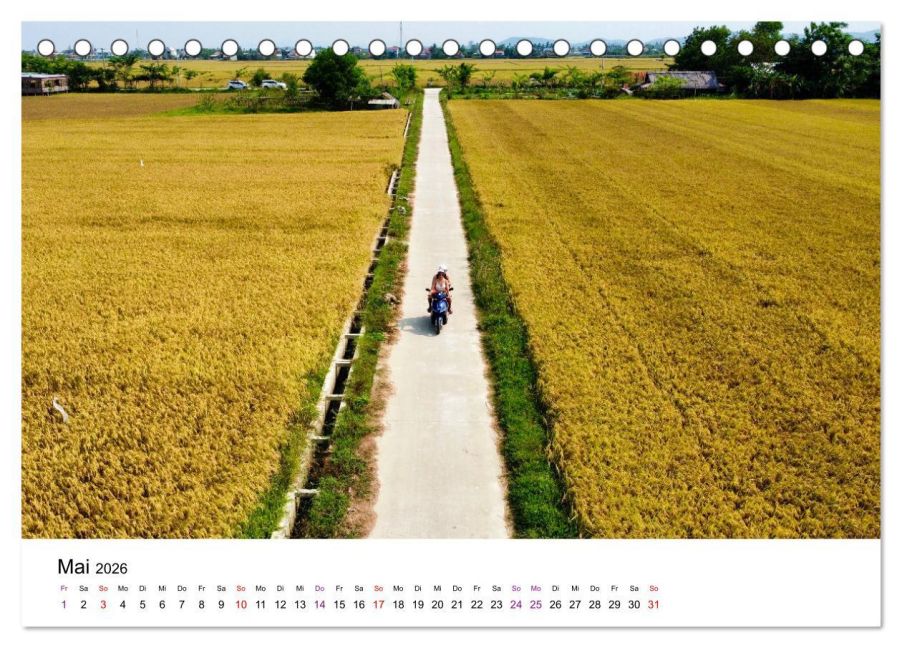 InsideView 10