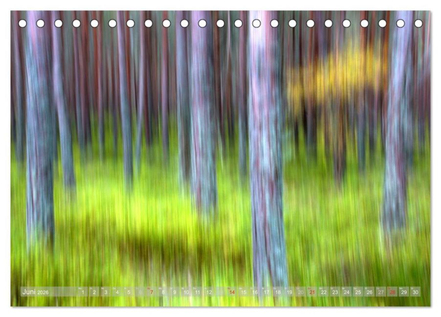 InsideView 11