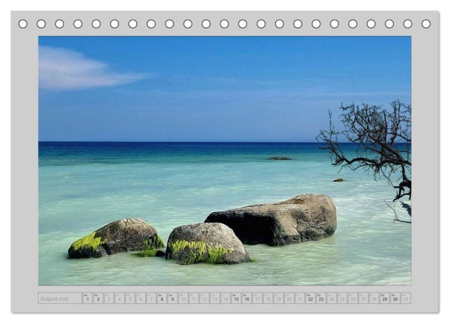 InsideView 13