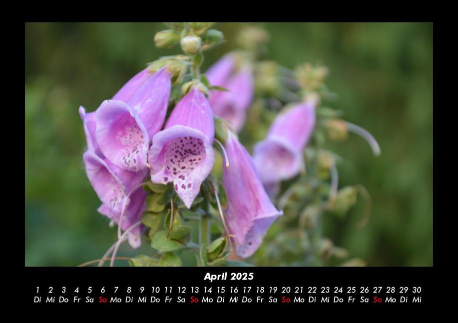 InsideView 8