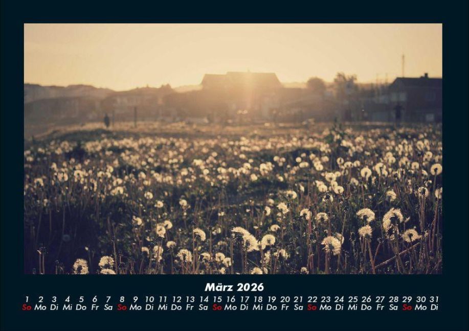InsideView 7