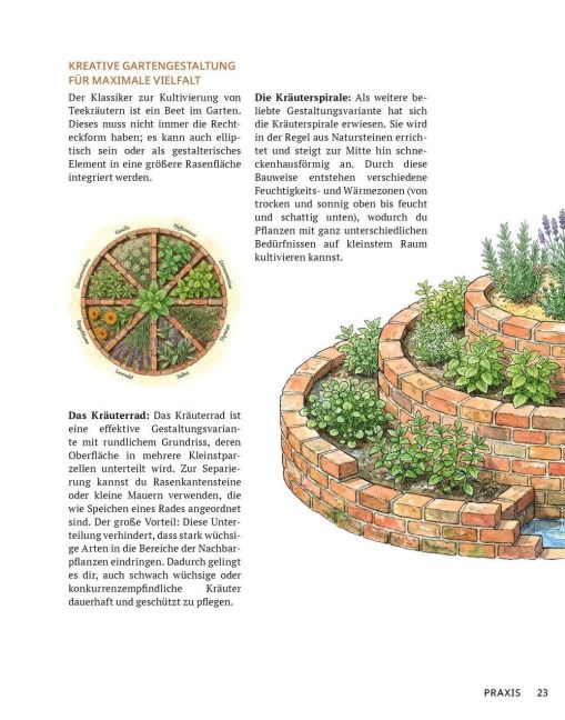 InsideView 6