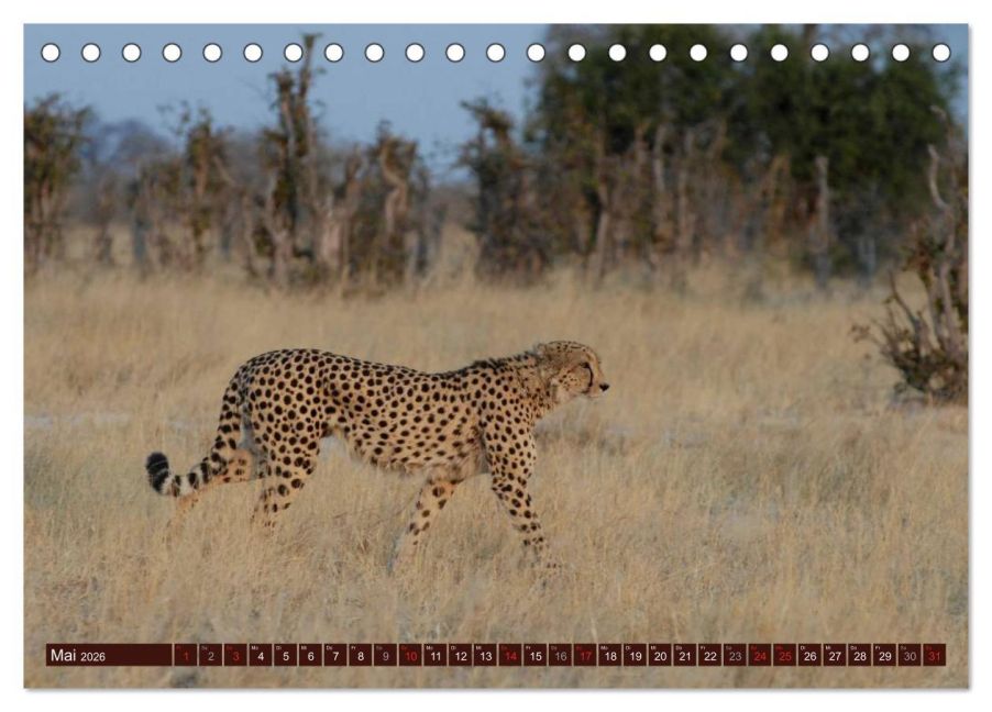 InsideView 10