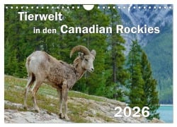 Cover-Bild zum Titel 'Tierwelt in den Canadian Rockies (Wandkalender 2026 DIN A4 quer), CALVENDO Monatskalender' von 'Dieter-M. Wilczek'