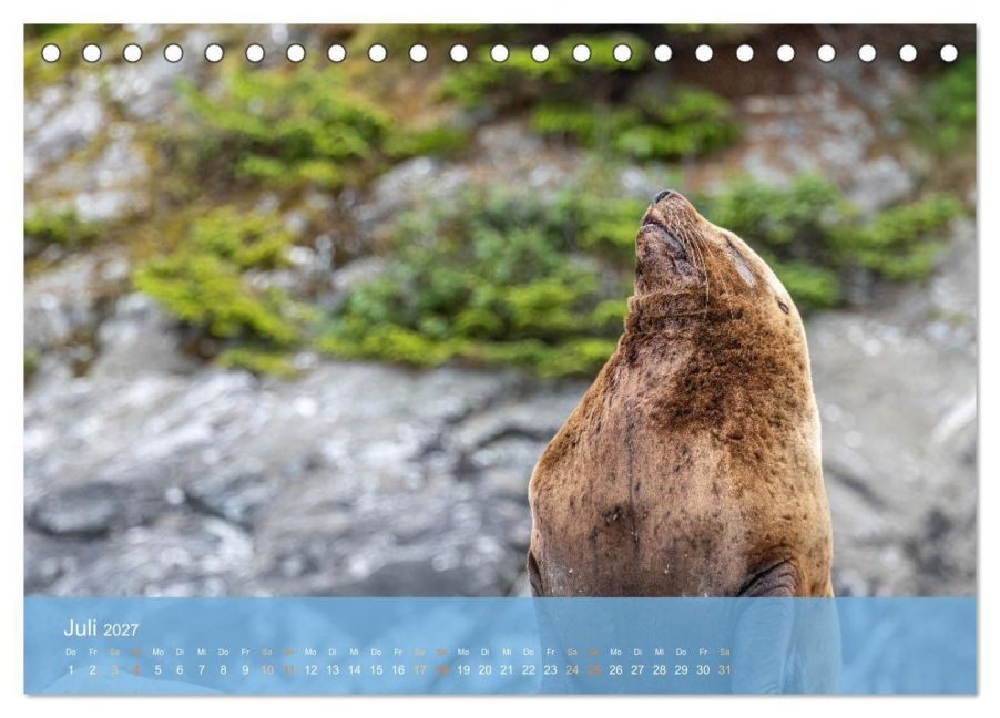 InsideView 12