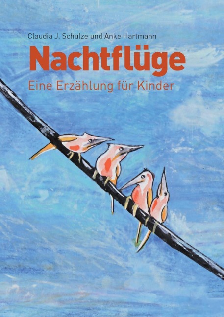 Nachtflüge - Claudia J. Schulze, Anke Hartmann