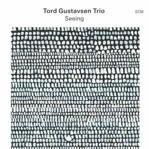 Seeing - Tord Gustavsen