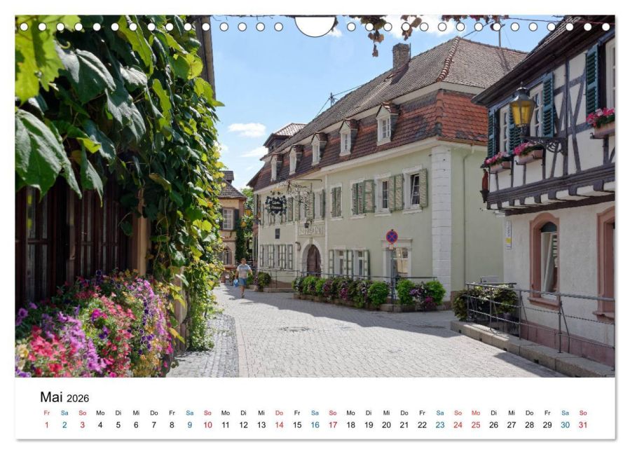 InsideView 10