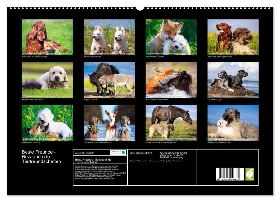 InsideView 4