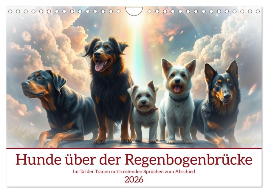Hunde über der Regenbogenbrücke (Wandkalender 2026 DIN A4 quer), CALVENDO Monatskalender - Claudia Kleemann
