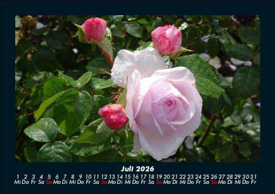 InsideView 11