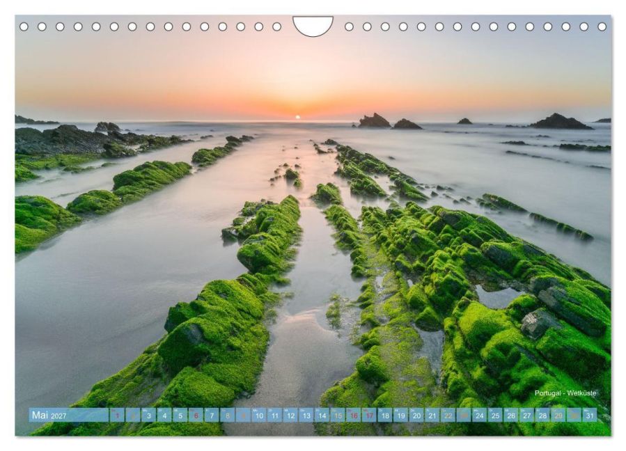 InsideView 10