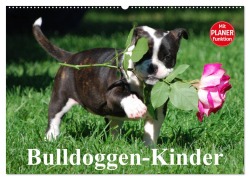Cover-Bild zum Titel 'Bulldoggen-Kinder (Wandkalender 2026 DIN A2 quer), CALVENDO Monatskalender' von 'Elisabeth Stanzer'