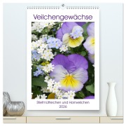 Cover-Bild zum Titel 'Veilchengewächse Stiefmütterchen und Hornveilchen (hochwertiger Premium Wandkalender 2026 DIN A2 hoch), Kunstdruck in Hochglanz' von 'Gisela Kruse'