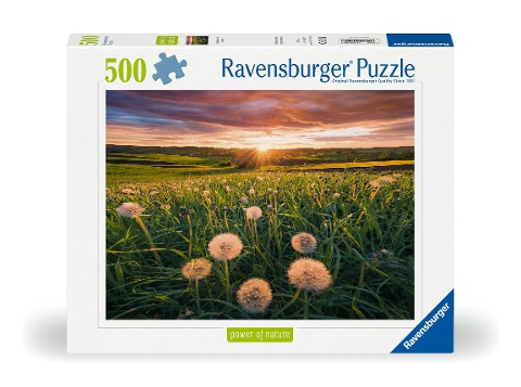 Erwachsenenpuzzle 500 Teile - Pusteblumen im Sonnenuntergang - 
