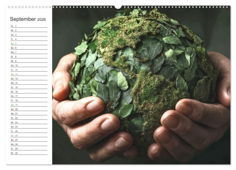 InsideView 14