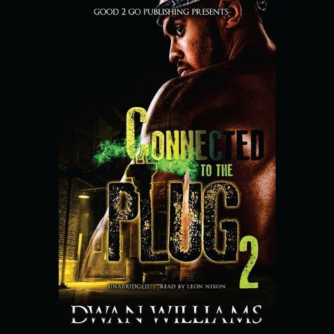 Connected to the Plug 2 Lib/E - 