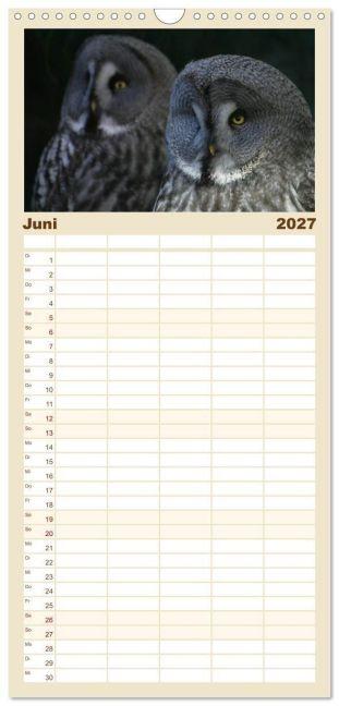 InsideView 8