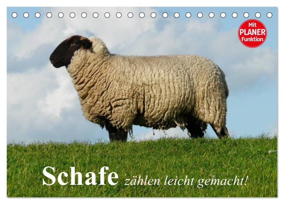 Schafe zählen leicht gemacht! (Tischkalender 2026 DIN A5 quer), CALVENDO Monatskalender - Elisabeth Stanzer
