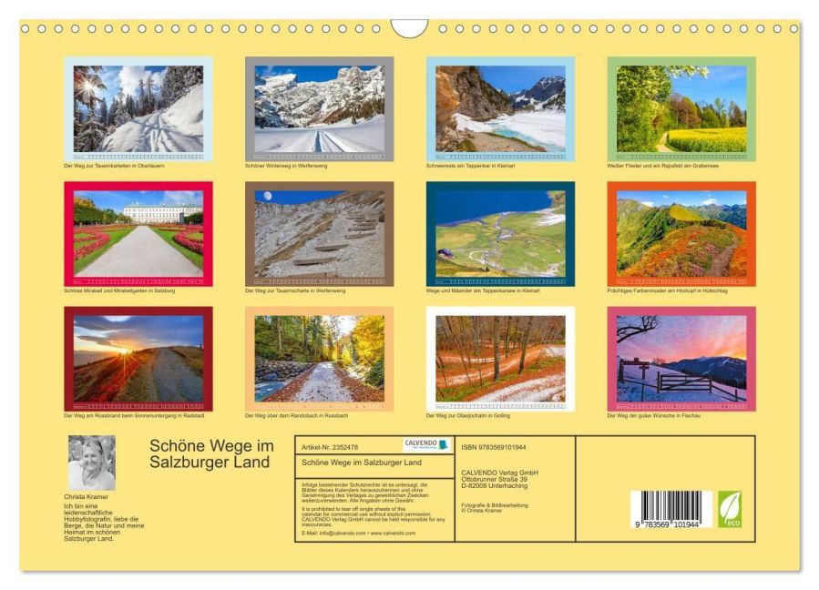 InsideView 5
