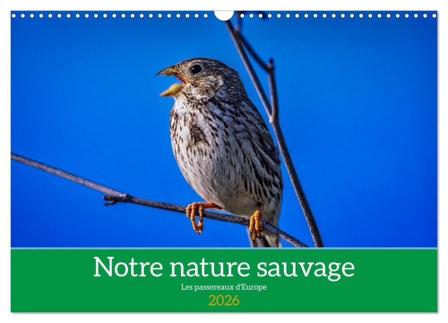 Notre nature sauvage, les passereaux d'Europe (Calendrier mural 2026 DIN A3 vertical), CALVENDO calendrier mensuel - Alain Gaymard