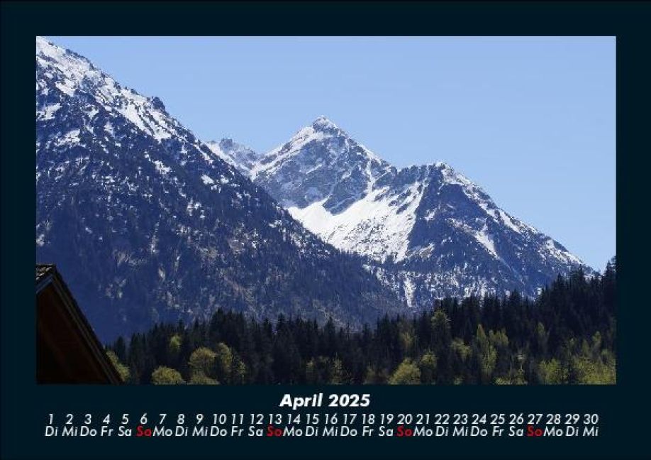 InsideView 8