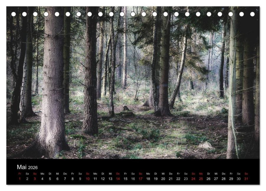 InsideView 10