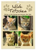Wilde Tätzchen, kleine wilde Katzen entdecken die Welt (Wandkalender 2025 DIN A4 hoch), CALVENDO Monatskalender - Sabine Löwer