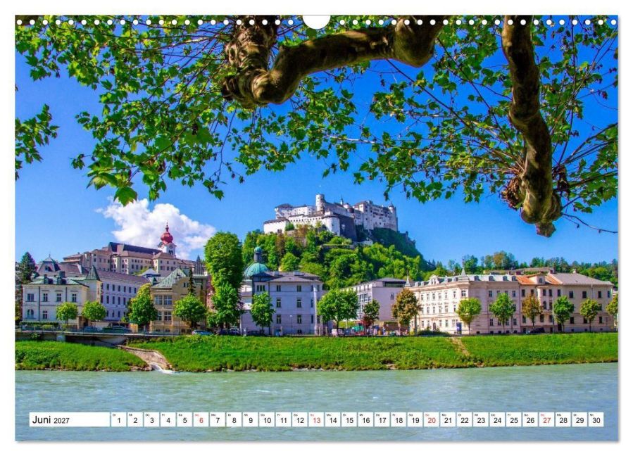 InsideView 11