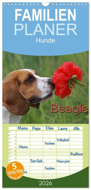 Familienplaner 2026 - Beagle mit 5 Spalten (Wandkalender, 21 x 45 cm) CALVENDO - Pferdografen. De Antje Lindert-Rottke Martina Berg