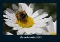 Blumenkalender 2022 Fotokalender DIN A4 - Tobias Becker