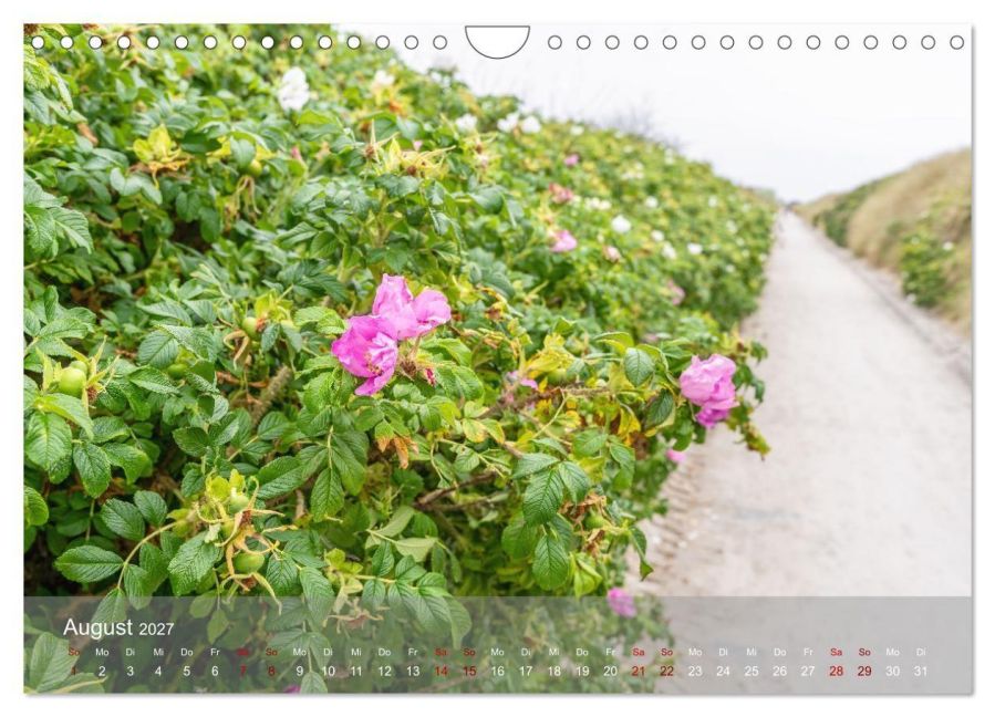 InsideView 13