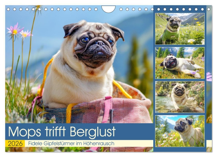 Mops trifft Berglust. Fidele Gipfelstürmer im Höhenrausch (Wandkalender 2026 DIN A4 quer), CALVENDO Monatskalender - Rose Hurley