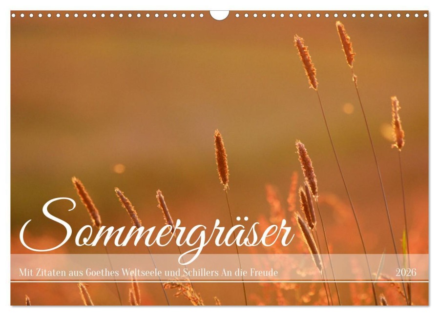 Sommergräser (Wandkalender 2026 DIN A3 quer), CALVENDO Monatskalender - Daniela Tapper