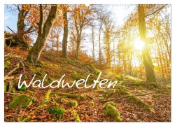 Waldwelten (Wandkalender 2026 DIN A2 quer), CALVENDO Monatskalender - Fotosvonlucke Fotosvonlucke