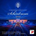 Sommernachtskonzert 2024 / Summer Night Concert 2024 - Andris Nelsons, Wiener Philharmoniker