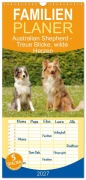 Cover-Bild zum Titel 'Familienplaner 2027 - Australian Shepherd - Treue Blicke, wilde Herzen mit 5 Spalten (Wandkalender, 21 x 45 cm) CALVENDO' von 'Alex Shepherd'