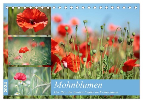 Mohnblumen (Tischkalender 2024 DIN A5 quer), CALVENDO Monatskalender - Thomas Deter