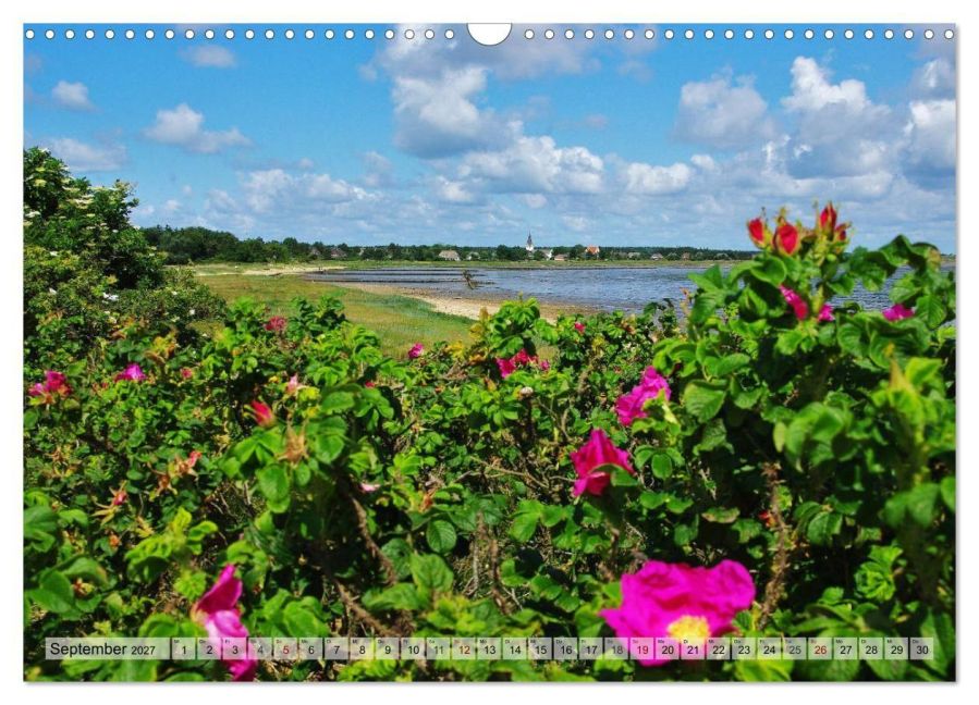 InsideView 14
