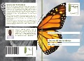 Cover-Bild zum Titel 'Source de ma tristesse' von 'Séphanie Kikalage Patrick'