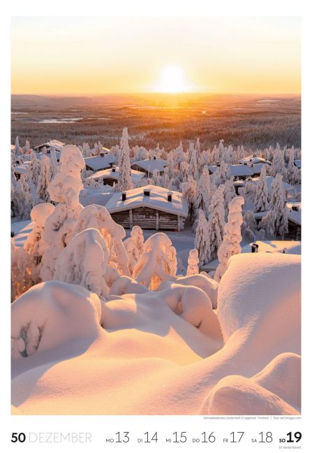 InsideView 51