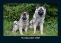 Hundezauber 2024 Fotokalender DIN A5 - Tobias Becker